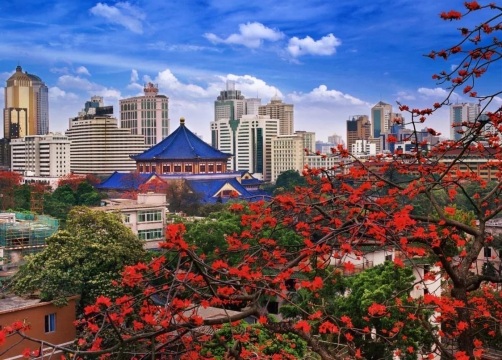 廣州50大賞花踏青景點