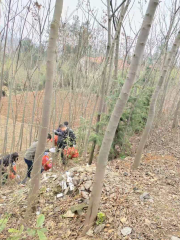 湖南省常德市澧縣火連坡鎮