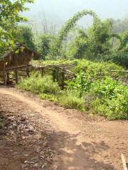 Wenla Natural Village