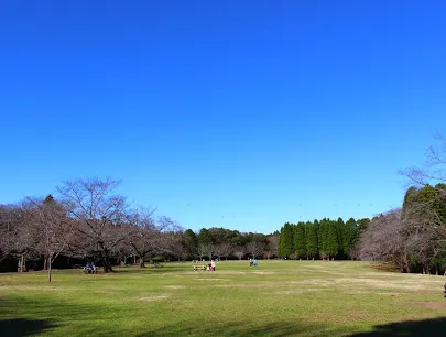 千葉縣千葉top10好去處 21千葉旅遊攻略 Trip Com 千葉縣千葉top10好去處 21千葉旅遊攻略 Trip Com