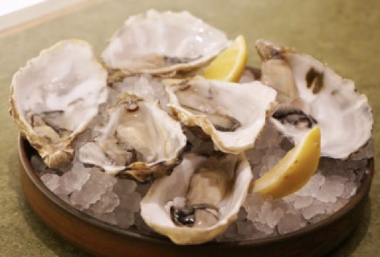 Bluebird Chelsea User Photo