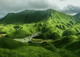 Mandarin Duck Meadow