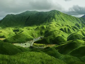 Mandarin Duck Meadow