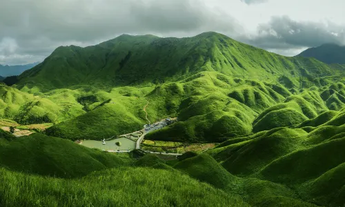 Mandarin Duck Meadow