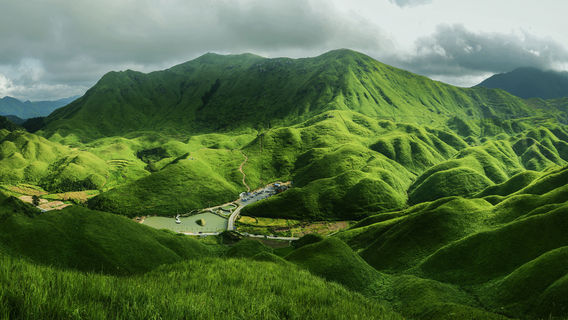 Mandarin Duck Meadow