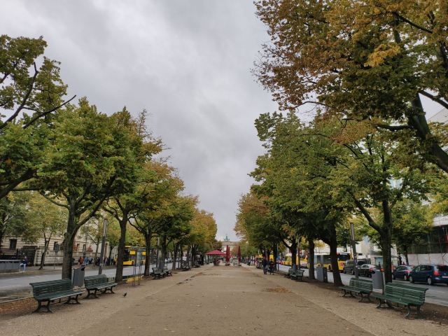 Under the Linden Trees