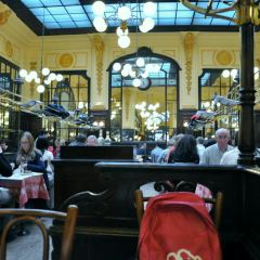 Bouillon Chartier Montparnasse張用戶圖片