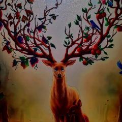 鹿森书店(上下杭店) User Photo