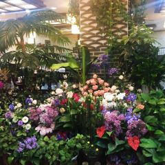 Hamcho Ganjang Gejang User Photo