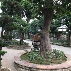 香山家宴張用戶圖片