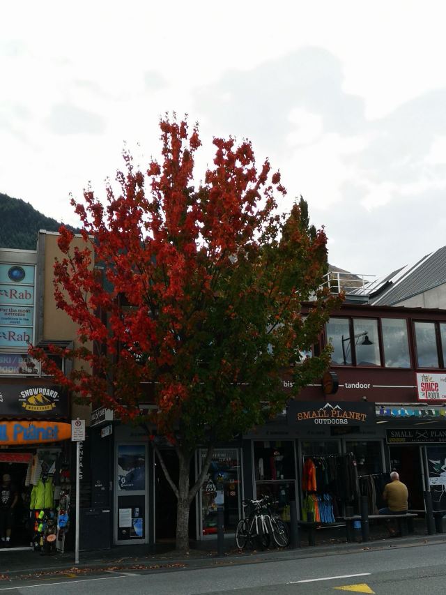 Queenstown Mall