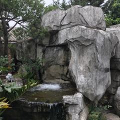 香山家宴張用戶圖片