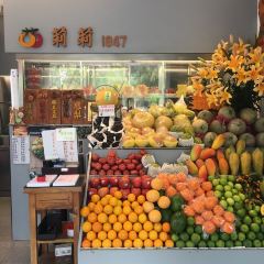 Lily Fruit User Photo