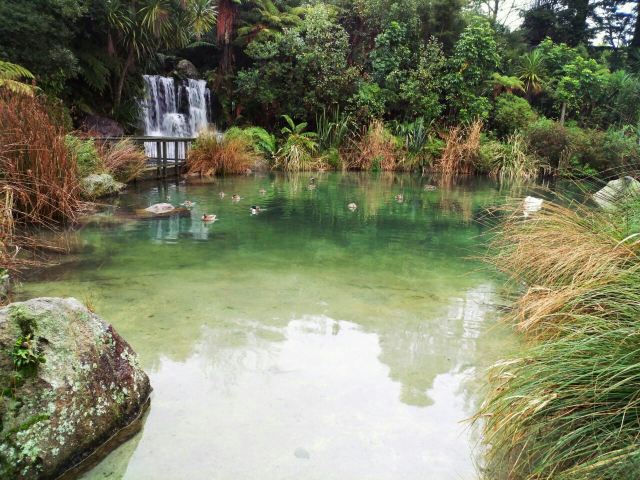 Rainbow Springs Nature Park