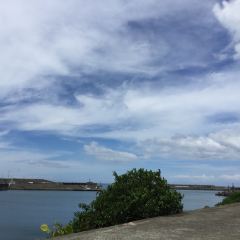 八鬥子阿龍海鮮餐廳 User Photo