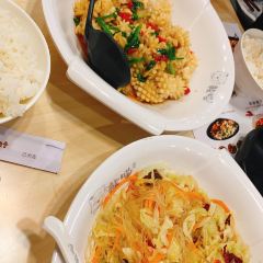 Spicy cat User Photo