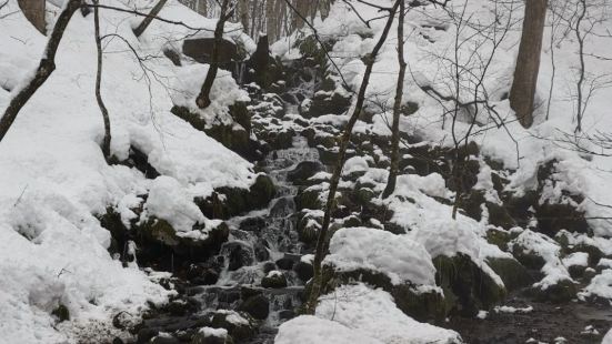 奥入濑溪流全长约14公里，是徒步的好选择。因为大雪，又夹着雨