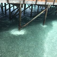 Mandhoo Restaurant User Photo
