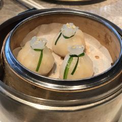 Ying Jee Club User Photo