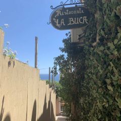 La Buca User Photo
