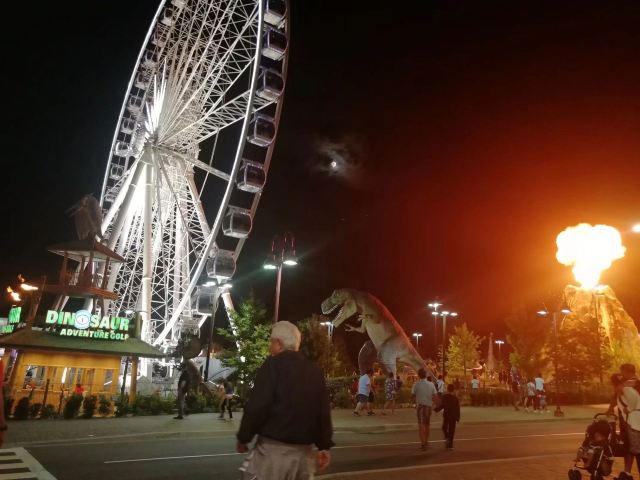 Niagara Skywheel