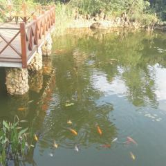 石林杏林大观园樱花峪药膳坊餐厅 User Photo