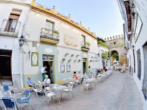 Casa Rubio