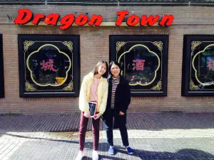 Dragon Town
