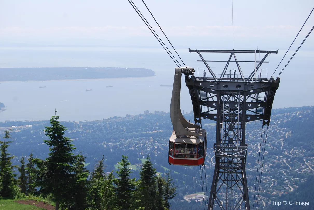 3_Grouse Mountain Peak