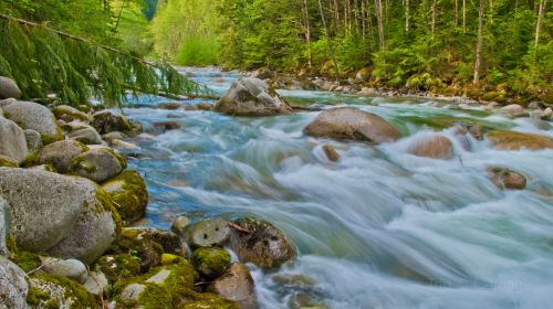 Lynn Canyon Park