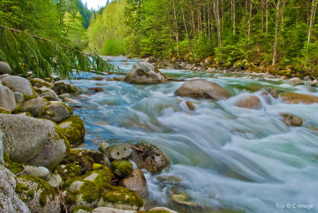 5_Lynn Canyon Park