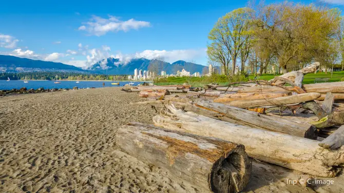 Things to Do in Vancouver in Summer