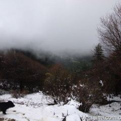 Cuihua Stone Pot Restaurant with Local features User Photo