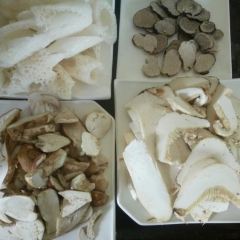 Snow mountain clouds wild mushrooms 여행 사진