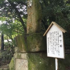 Chikae Fukuoka User Photo