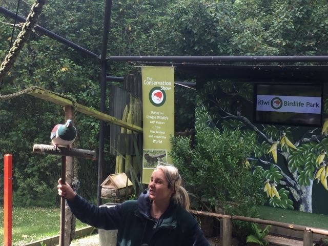 Kiwi Birdlife Park