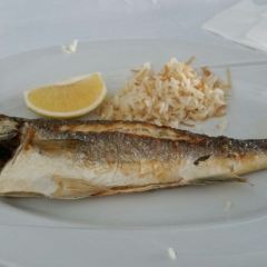 Trilye Restaurant User Photo