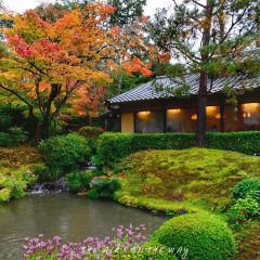 Nanzenji Junsei User Photo