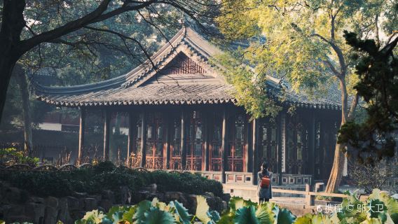 Szanghaj: Jednodniowa wycieczka (tylko zwiedzanie) - Ogród Pokornego Zarządcy w Suzhou + ulica Shantang + Świątynia Hanshan + Most Fengqiao
