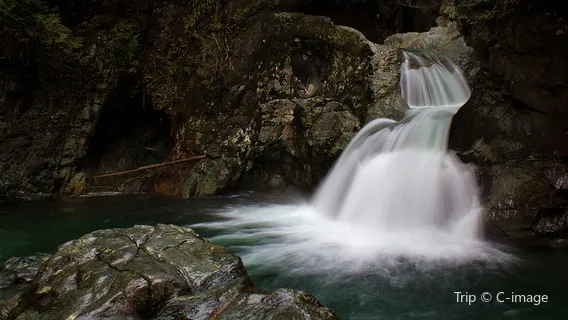 North Vancouver District Public Library (Lynn Valley Branch)