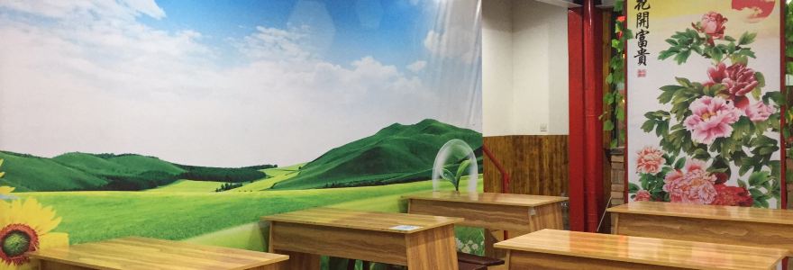 Zhengniansu Restaurant (youkezhongxin)