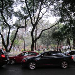 Dai si niang niu hua dou fu nao mei wei xiao shi User Photo