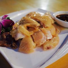 Dong Hai Long Gong ( Ming Xing Restaurant10 Nian Lao ) User Photo