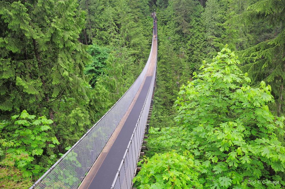 Capilano Suspension Bridge Park Travel Guide - Capilano Suspension Bridge Park Daytime View