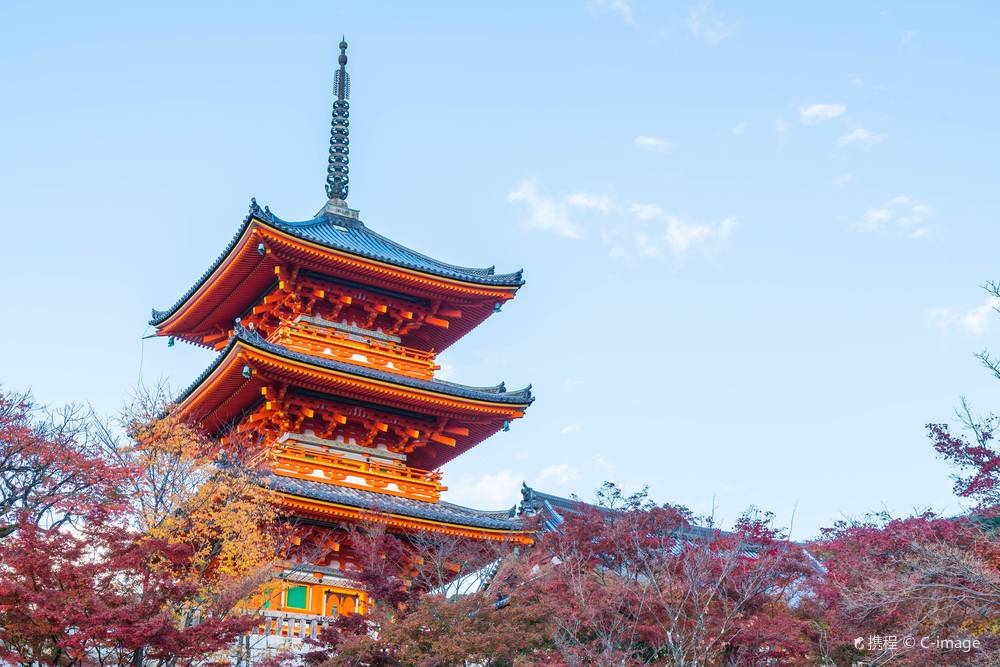 日本京都+清水寺+花見小路+鴨川一日遊