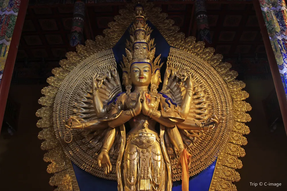 5_วัดโจคัง