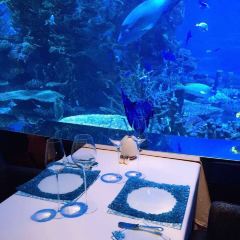 Ristorante L’Olivo at Al Mahara User Photo