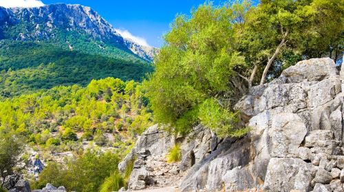 Serra de Tramuntana