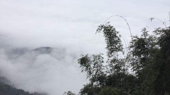 很漂亮的经典，竹海里面有很多个小景点，都不错，去的时候没什么