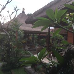 Cafe Lotus Ubud User Photo